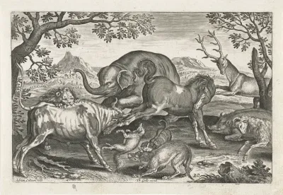 Vechtende dieren