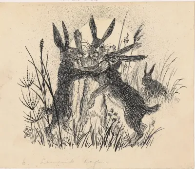 Vechtende hazen