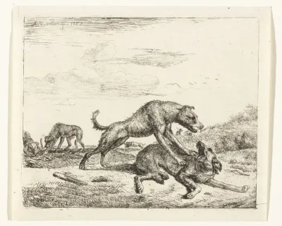 Vechtende honden