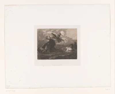 Vechtende vogels