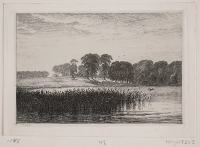 Ved Vesterborg sø