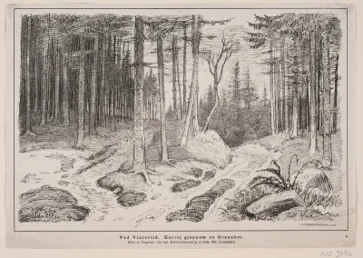 Ved vintertid. Hulvej gennem en granskov