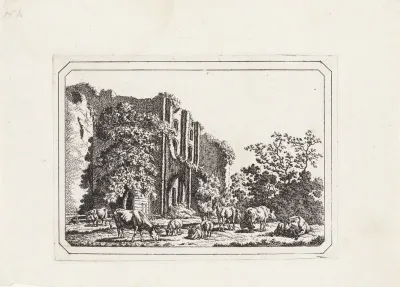 Vee bij de ruïne van Brederode