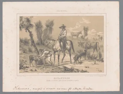 Veehouderij op Cuba