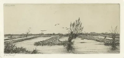 Veenplas