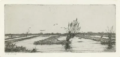 Veenplas