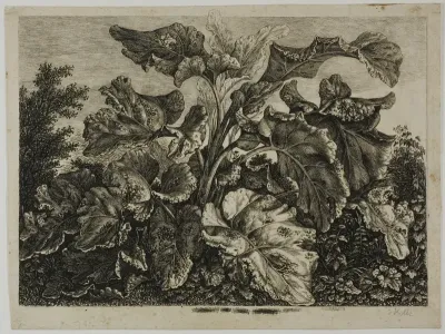 Vegetable Sheet
