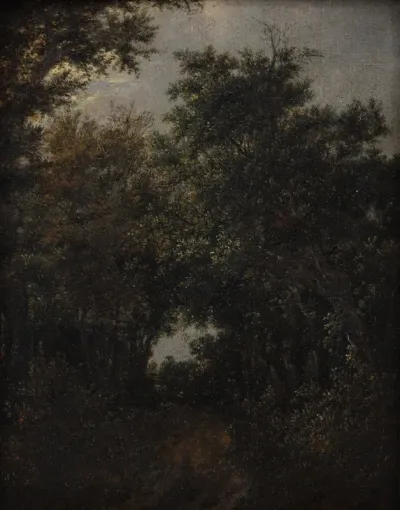 Vej i en egeskov