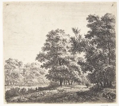 Vejkryds i en skov