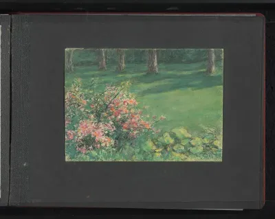 Veld met bloemen en bomen