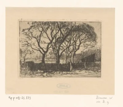 Veld met bomen en een hek