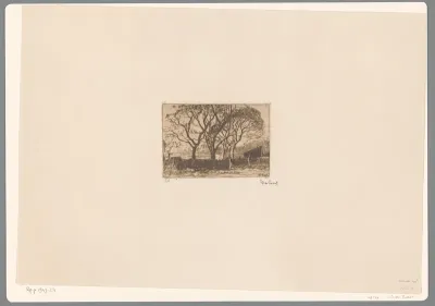 Veld met bomen en een hek