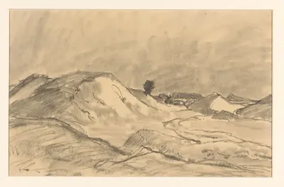 Veluwsch landschap