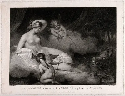 Venus [Aphrodite]: cupids dragging before her the boar which killed Adonis