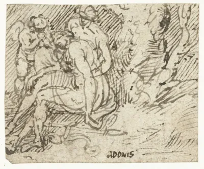 Venus, Cupido en Adonis