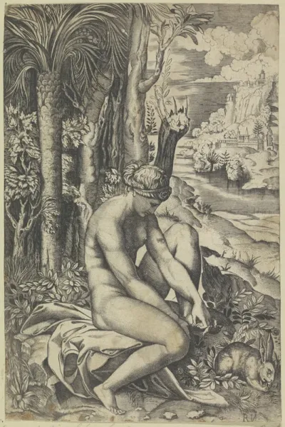 Venus en de roos