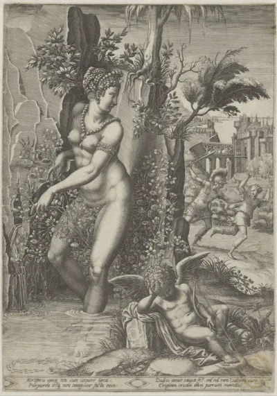 Venus en de roos