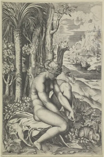 Venus en de roos