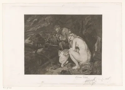 Venus frigida