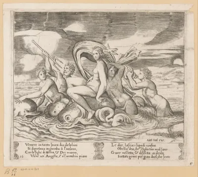 Venus ontvangt nieuws van een vogel