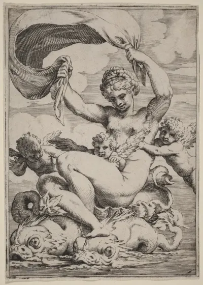 Venus or Galatea Supported by Dolphins