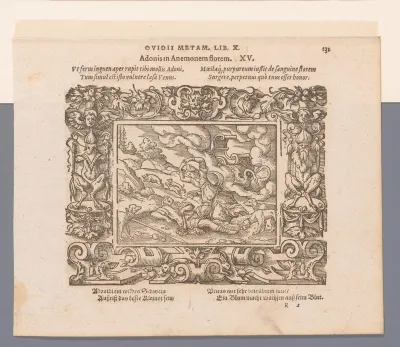 Venus treurt om Adonis