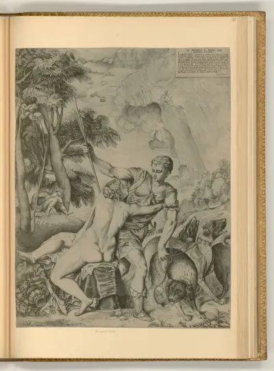 Venus und Adonis