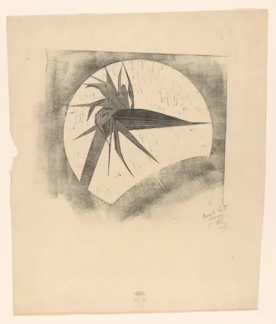 Verdorde strelitzia