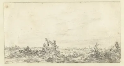Vergezicht vanuit de duinen