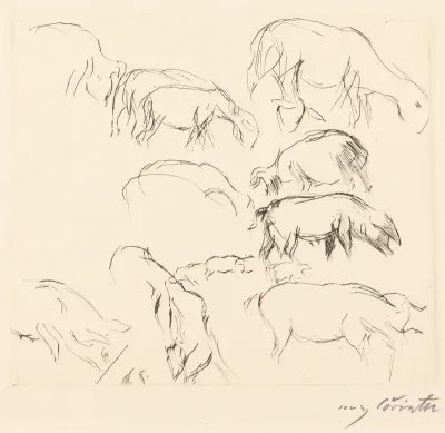 Verschiedene Tierstudien (Animal Studies)