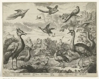 Verschillende vogels in een landschap