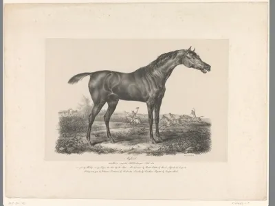 Verschrikt paard