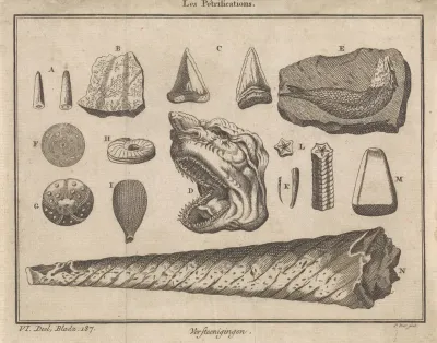Versteningen