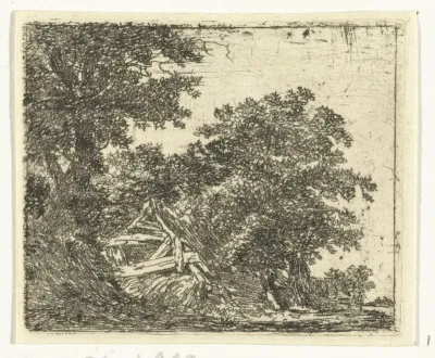 Vervallen hut in bos
