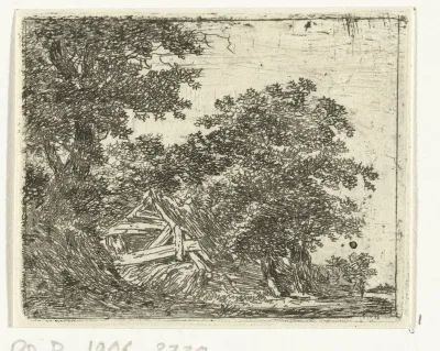 Vervallen hut in het bos