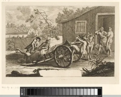 Vervoer van een gestorven paard