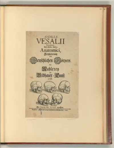 Vesalii Bruxellensis, Andreae: Deß Ersten, Besten Anatomici, Zergliederung Deß Menschlichen Cörpers : Auf Mahlerey und Bildhauer-Kunst gericht, Titelblatt (Buchillustration)