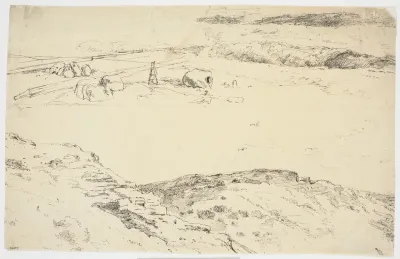 Vestjyske landskaber