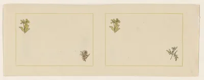 Vier bloemen