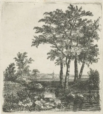 Vier bomen aan een sloot