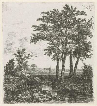 Vier bomen aan een sloot