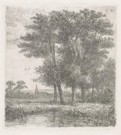 Vier bomen aan een vennetje