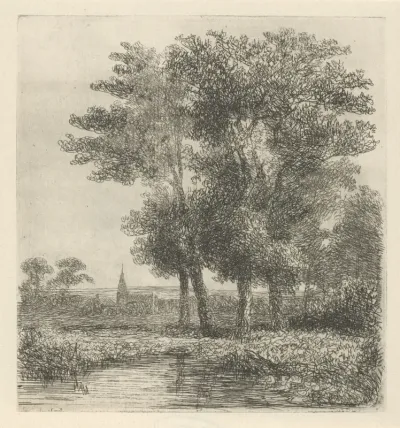 Vier bomen aan een vennetje