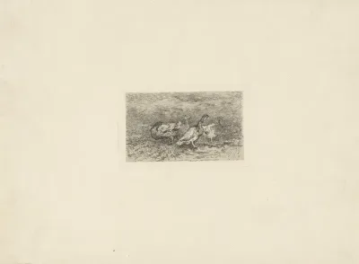 Vier ganzen