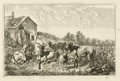 Vier geiten en een schaap bij een huis