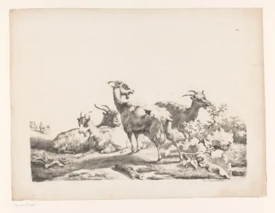 Vier geiten in een landschap
