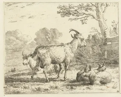 Vier geiten