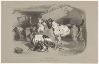 Vier honden in een kennel