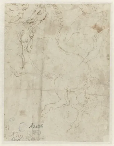 Vier hoofden van paarden
