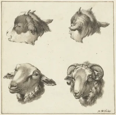 Vier koppen van bokken en schapen